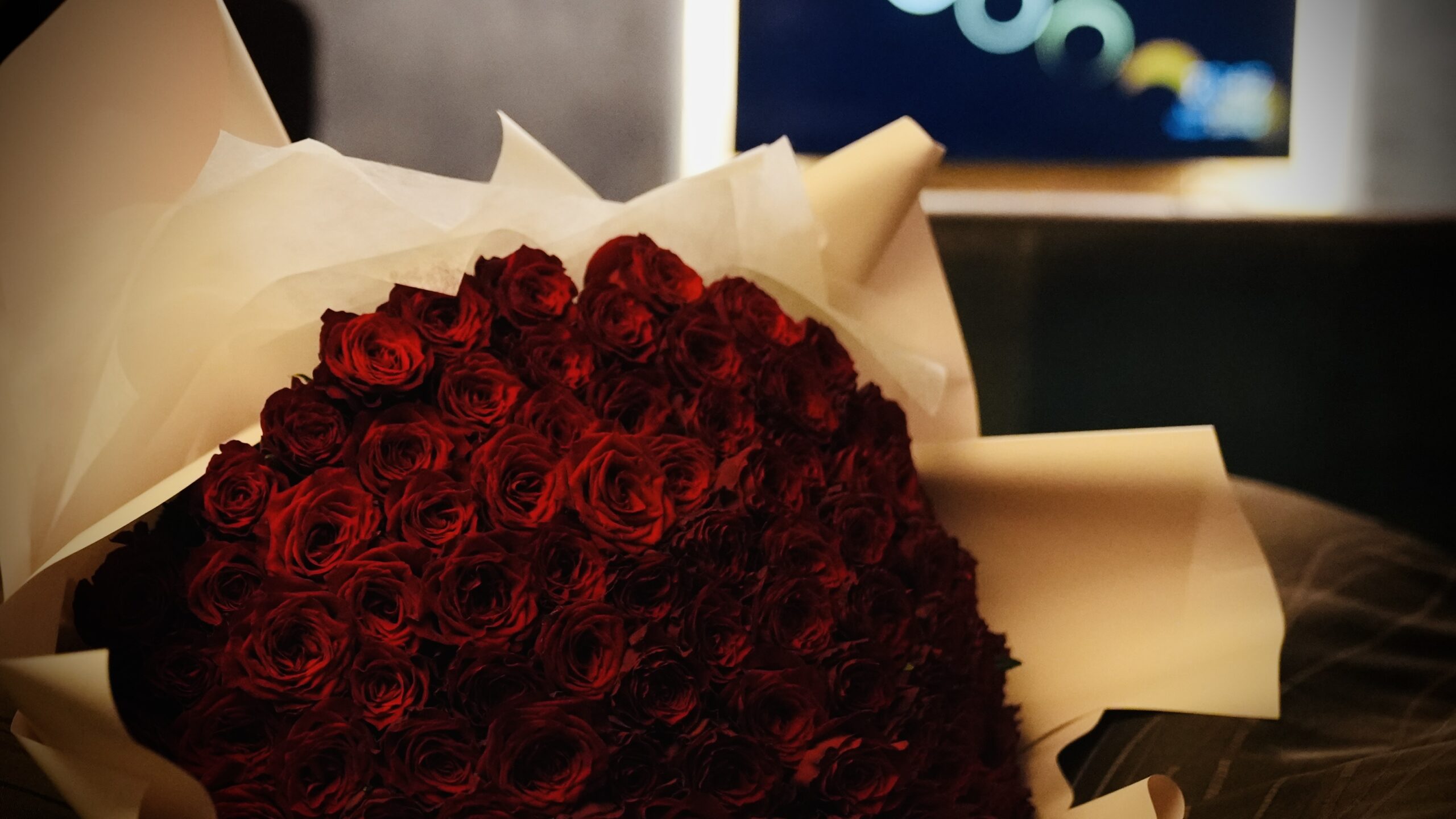 zakuro プロポーズ 深紅のバラ